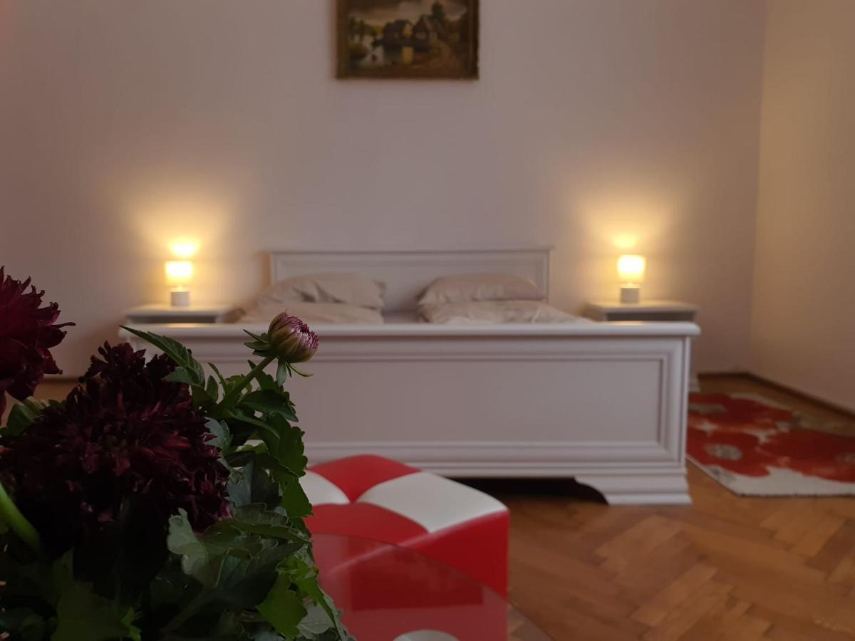 Apartament Enescu تيميشورا المظهر الخارجي الصورة