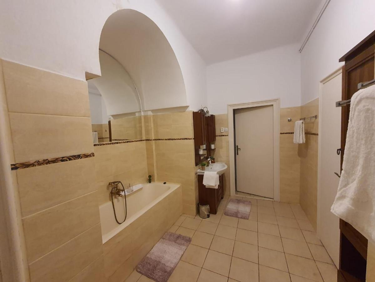 Apartament Enescu تيميشورا المظهر الخارجي الصورة