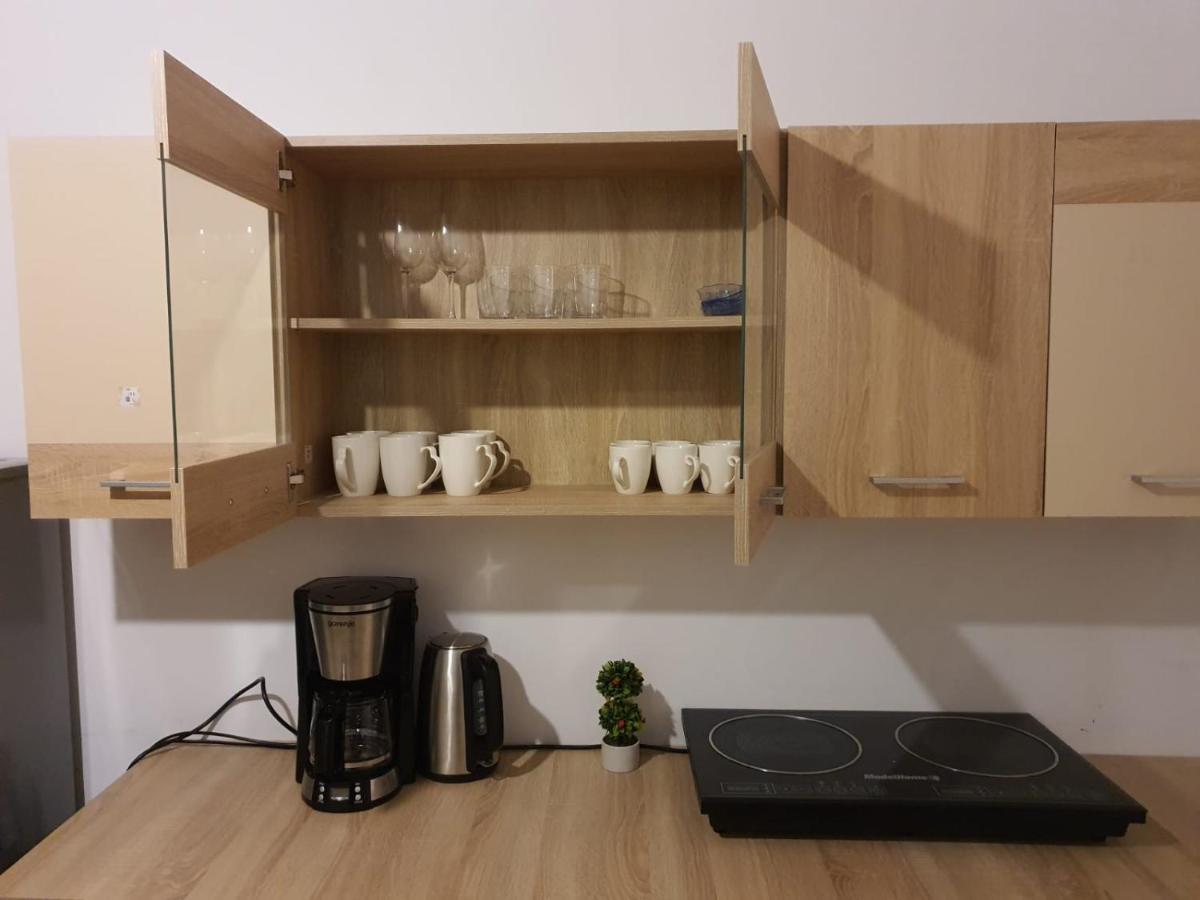 Apartament Enescu تيميشورا المظهر الخارجي الصورة