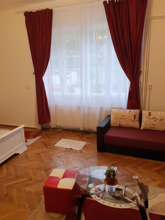 Apartament Enescu تيميشورا المظهر الخارجي الصورة