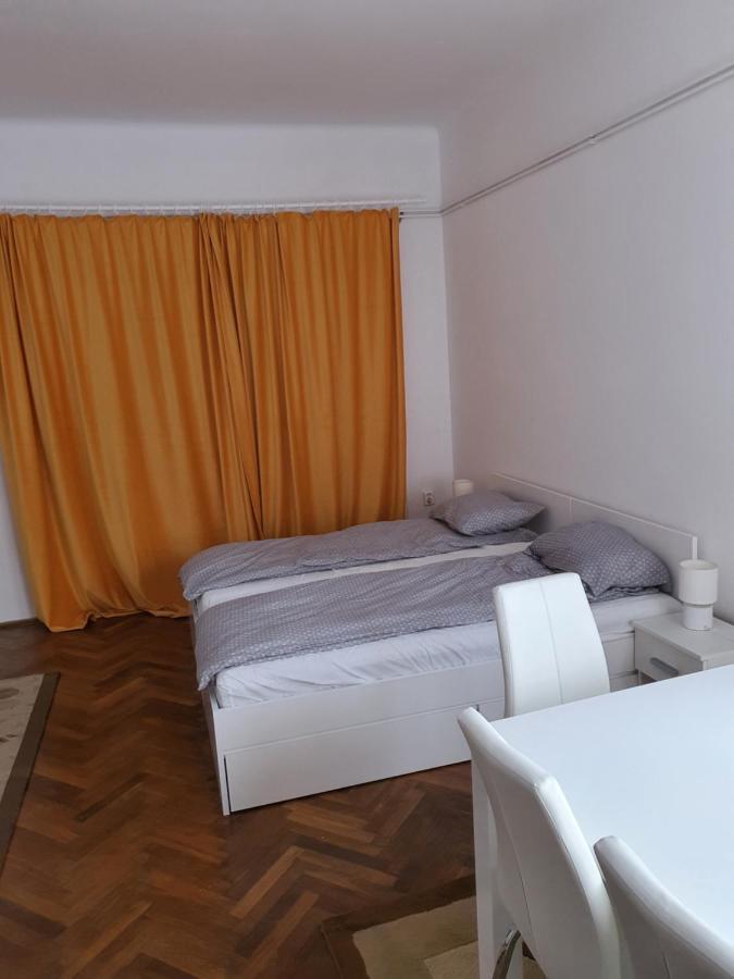 Apartament Enescu تيميشورا المظهر الخارجي الصورة
