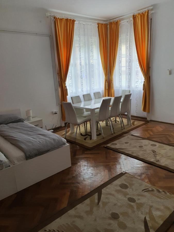 Apartament Enescu تيميشورا المظهر الخارجي الصورة
