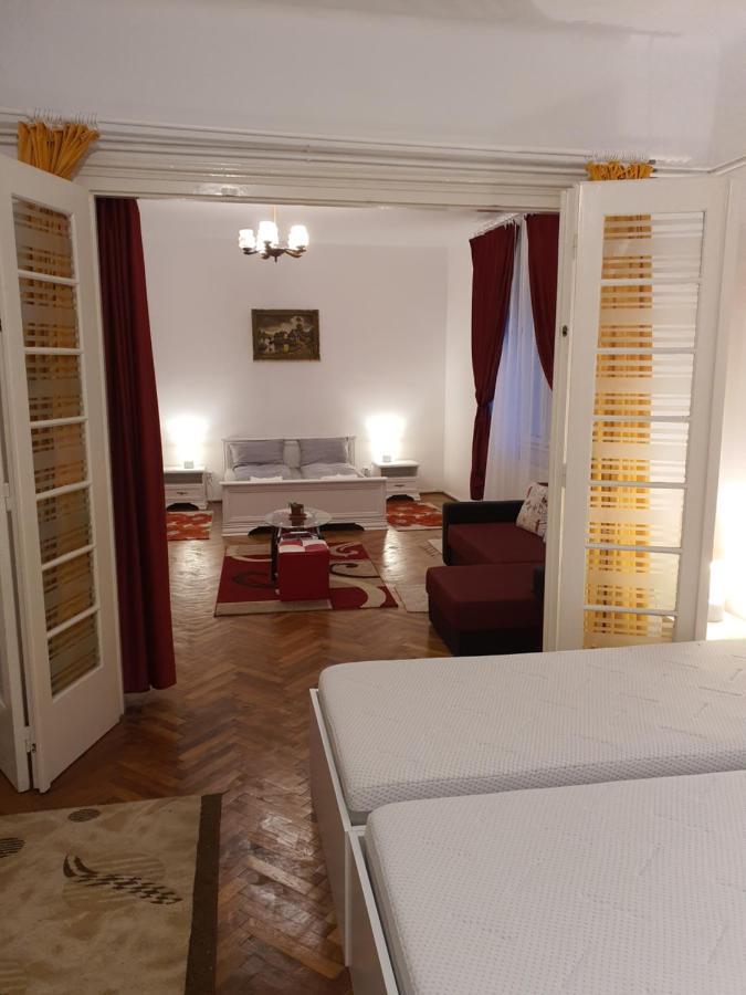 Apartament Enescu تيميشورا المظهر الخارجي الصورة