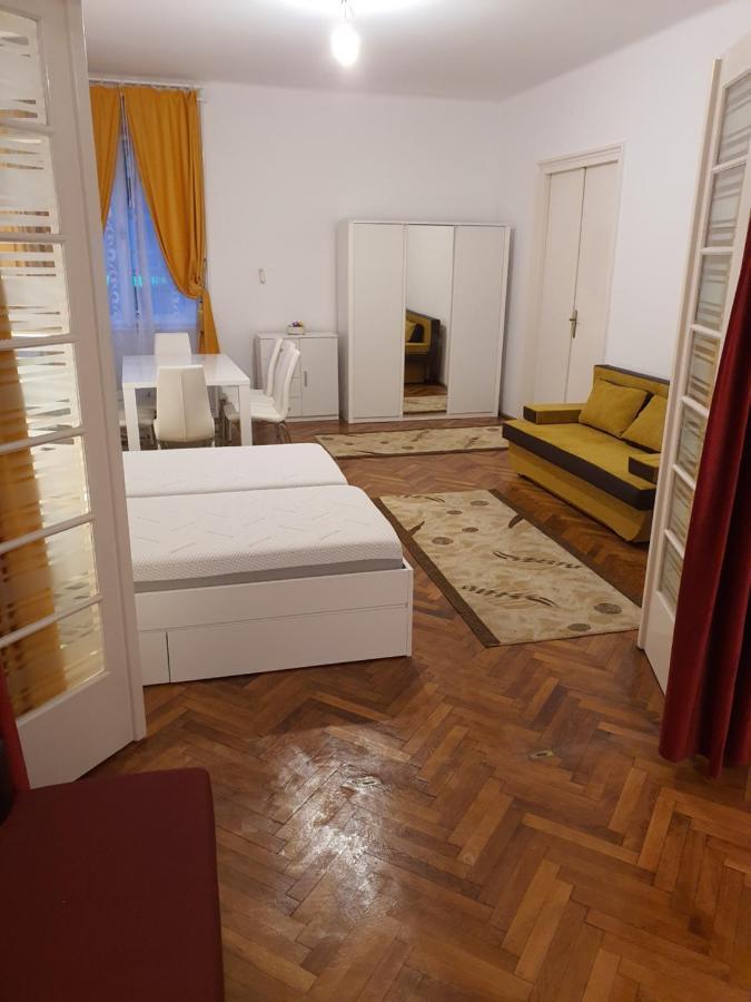 Apartament Enescu تيميشورا المظهر الخارجي الصورة