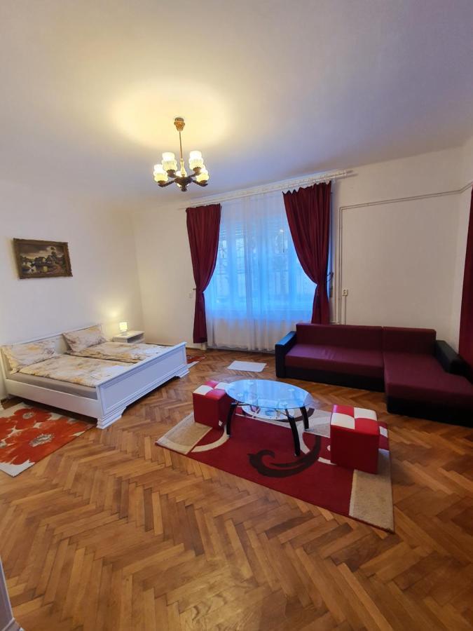 Apartament Enescu تيميشورا المظهر الخارجي الصورة